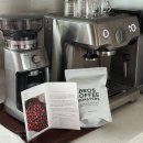 거운농장 | ☕️원두리뷰/케이브로스 파나마 라 산타 리제르바 워시드 SHB EP/과일향 산미