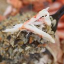 큰바다대게회식당 이미지
