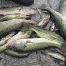 아낌없이주는나무한의원 이미지