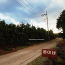 동이네집 이미지