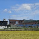 대산버스터미널 이미지