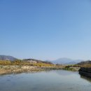 나암천 | [담양] 증암천 벚꽃과 개나리_광주근교 사람없는 봄나들이 장소를 찾아서
