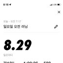 핑퐁팽퐁