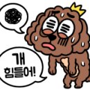 논산더집 이미지