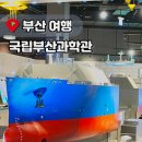 새싹어린이서점 | 기장 실내 가볼만한곳 국립부산과학관 상설전시관 입장료