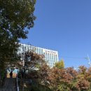 금쪽같은내부동산공인중개사사무소 | [29살 직장인 경매 ③] "법대로 해!"라던 기숙사 점유자, 연차 쓰고 강제집행까지 간 기록