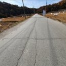 신포가축 이미지