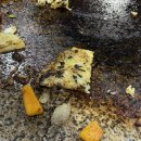 유산길 | "종가집오리돌구이" 돌판에 구워 더 맛있는 고양 덕양구 표고버섯더덕 오리구이 맛집+해미읍성 왕꽈배기...