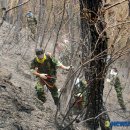 전대1리 이미지