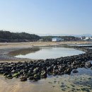 골왓마을방사탑 4호 | 이야기가 있는 이호동 마을탐방길