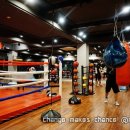 뱅뱅 복싱클럽 이미지