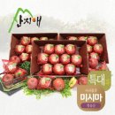 사과