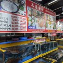 (주)호남 | [리뷰] 인천/영종도 영종관광어시장 호남수산 내돈내산 후기, 생각보다 알찬 회포장(도미+농어+광어...