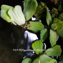 사곡초등학교 이미지