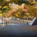 초록슈피아캠핑장 이미지