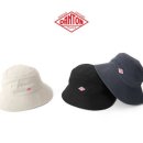 H0229 이미지