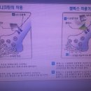편한기치과 이미지