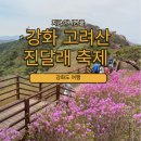 축제-04 | 강화도 고려산 진달래 축제 / 청련사코스 주차 개화시기 다녀온 후기