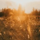 신림역 8번출구 앞 이미지