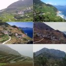 이락사관광안내소 이미지