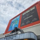 운동화빠라빠라 | 250817 악뮤 스탠딩 콘서트 악동들 스탠딩 B 시야, 관람 셋리스트 썰