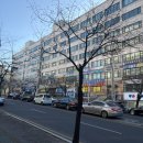 인천지방법원 | [경매] 인천지방법원 경매관람후기/인천지방법원 주차시간/경매 입찰 및 경매 물건 변경 후기