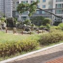 시그니처 102동 네이버블로그