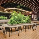 힐링 펫 카페 이미지