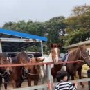 연옥농장 이미지