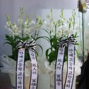 안계고등학교 이미지