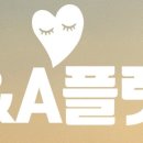 디메디코리아 이미지