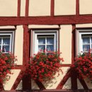 동탄역강남공인중개사사무소 이미지