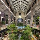 애플트리아일랜드어린이집 | 청주 카페 트리브링 완전 정복 후기 - 식물원 같은 대형 카페의 모든 것