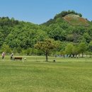 함평파크골프장 이미지