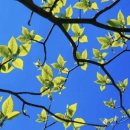 자연속힐링펜션 이미지