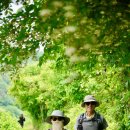 동향면행정복지센터 이미지