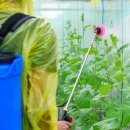 현대농약사 이미지