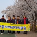 신갑연 Daum카페