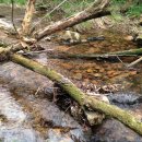 월출산장 호텔 이미지