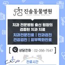 진솔동물병원 이미지