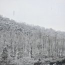 효성목욕탕 이미지