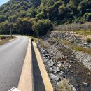 데이지풀빌라 이미지