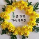 전통누룩 막걸리의 놀라운 효능 이미지