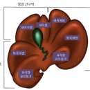동행동물의료센터 이미지