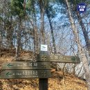 230402 경주 토함산+남산 , 1일2산 최단코스 정보&후기 이미지