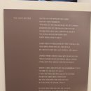 제주의 한란 이미지