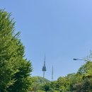 까치소리 | 남산하늘숲길 산책 코스 추천 서울 도심 힐링 후기