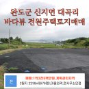 신지면사무소 이미지