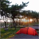 하모리-9 이미지