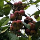 비우고채움 이미지